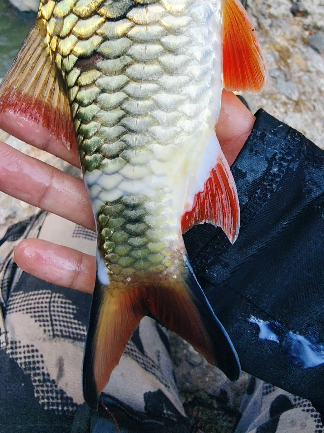 @gustavxfishing