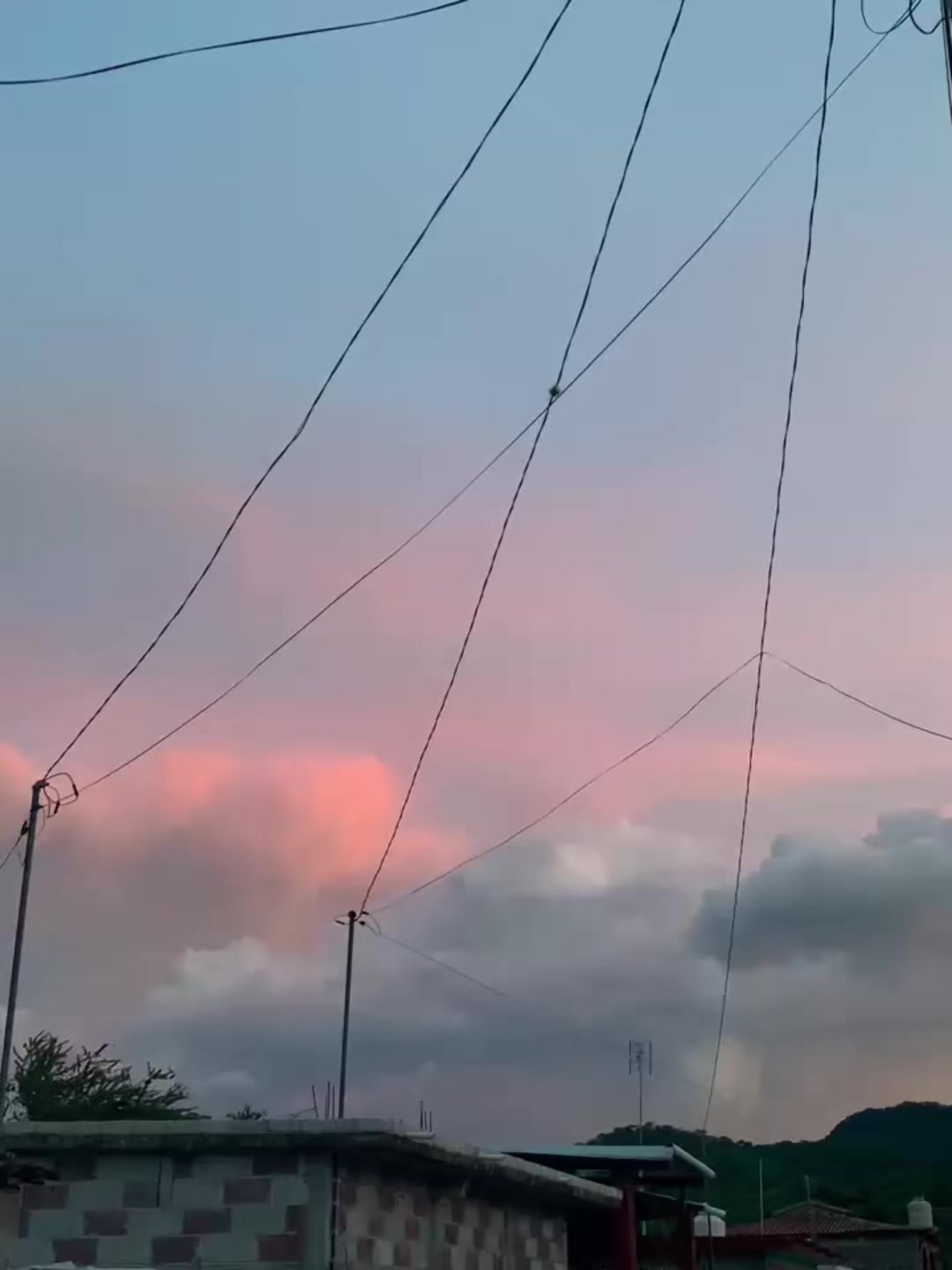 @Antho🧚♀️✨🌻