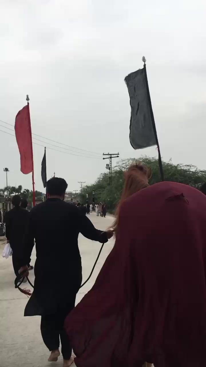 @مرکزی ذوالجناح تلہ گنگ