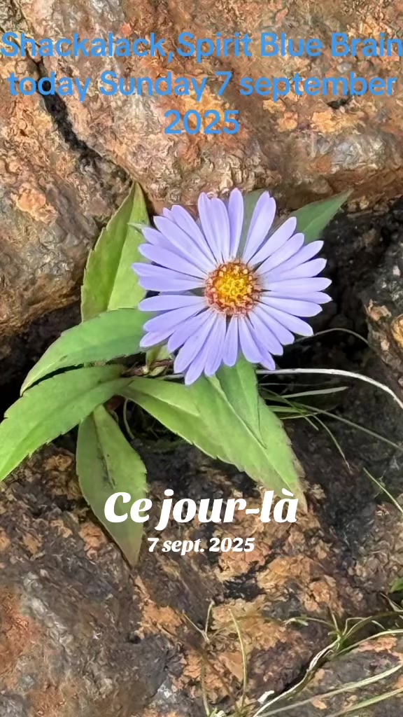 @26UN55