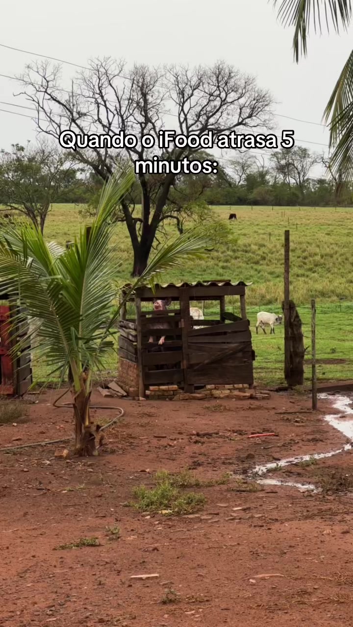 @Ai Tati