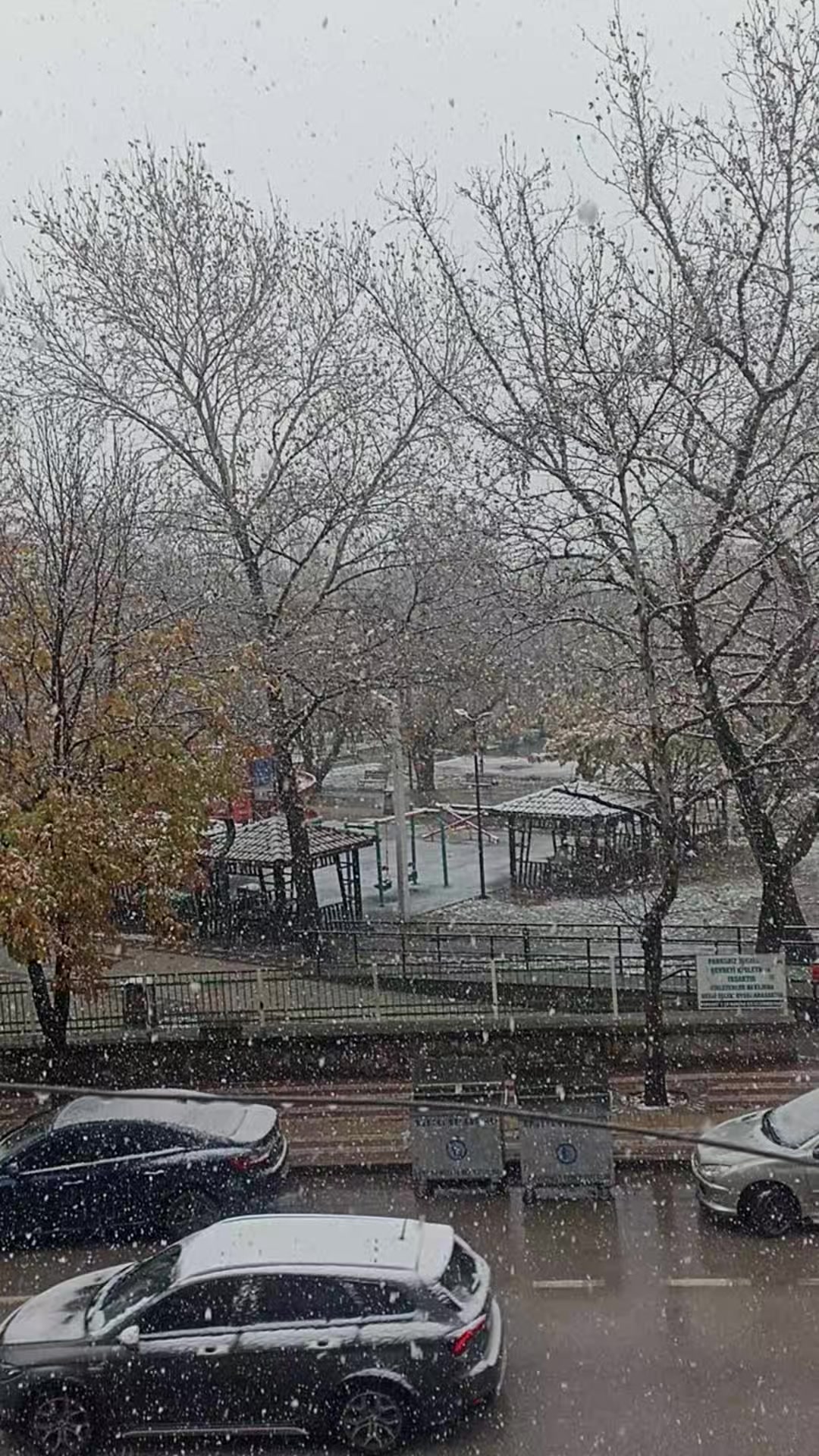 @bursa 16