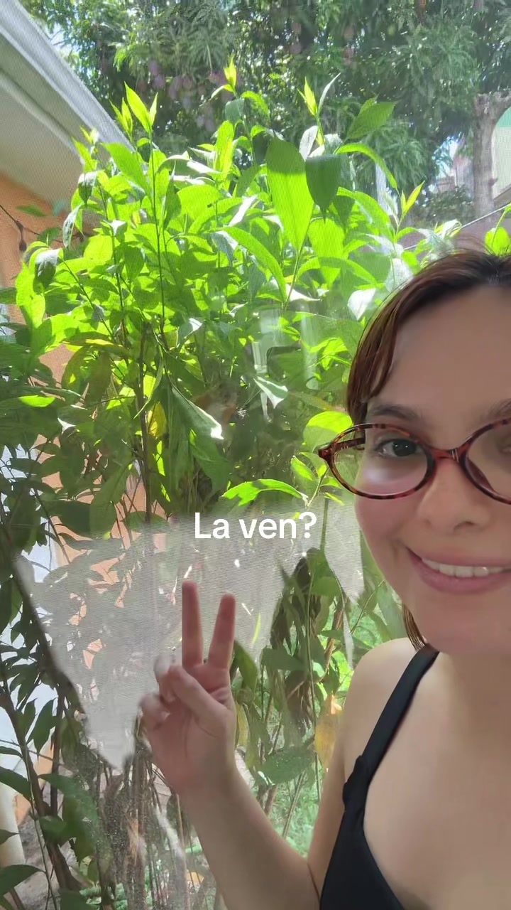 @Paula