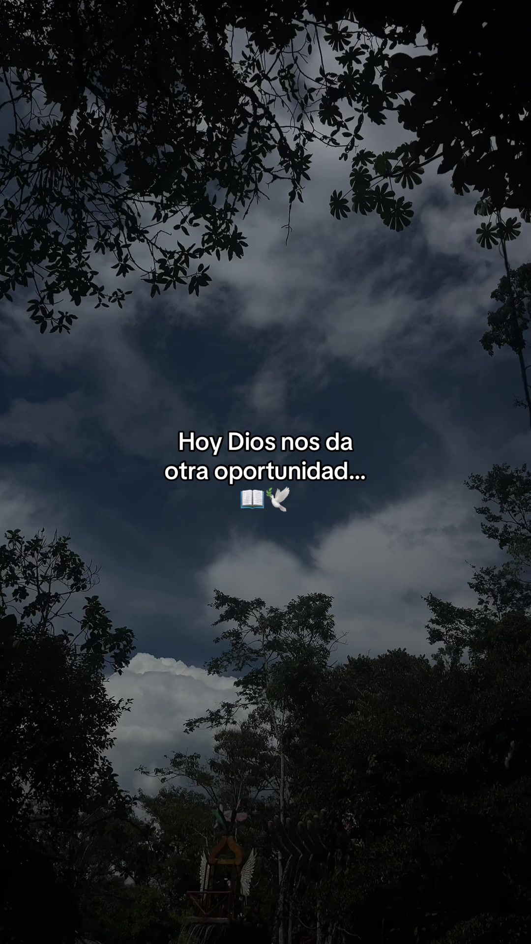 @Gatocix 🐱