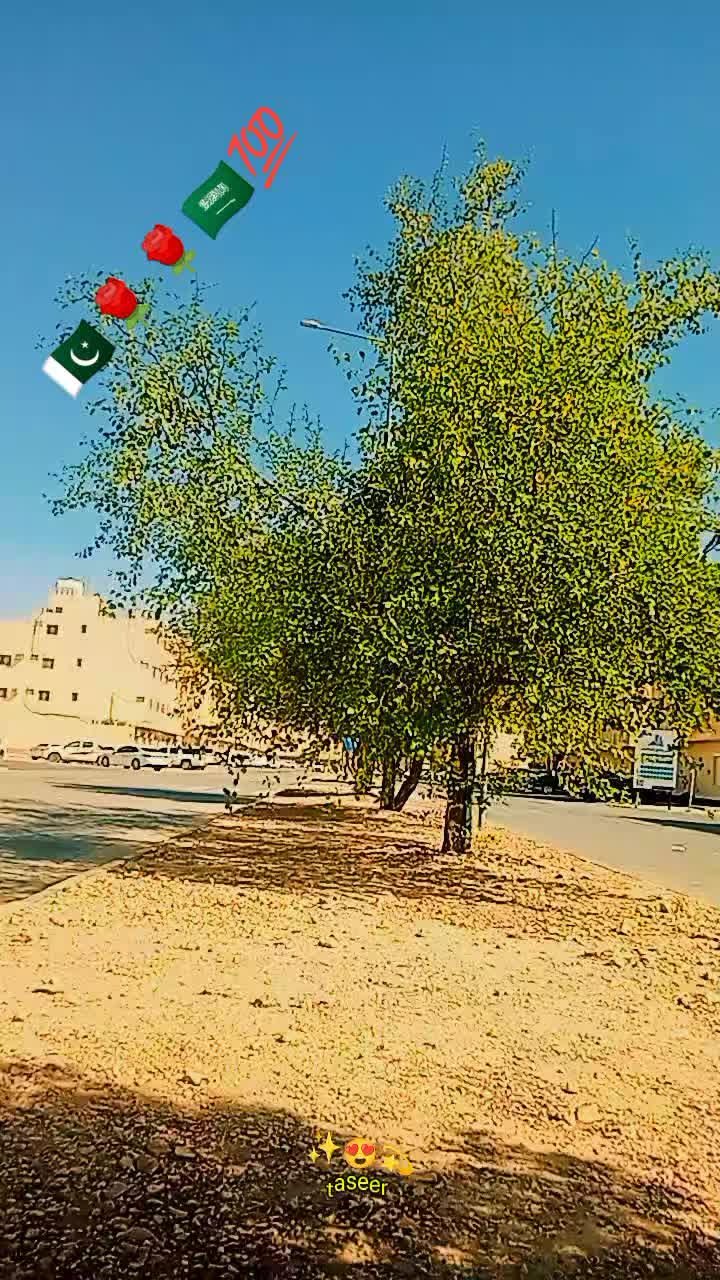 @🥀🇵🇰🌹Dilnawaz 🥀🇸🇦🌹🇸🇦?