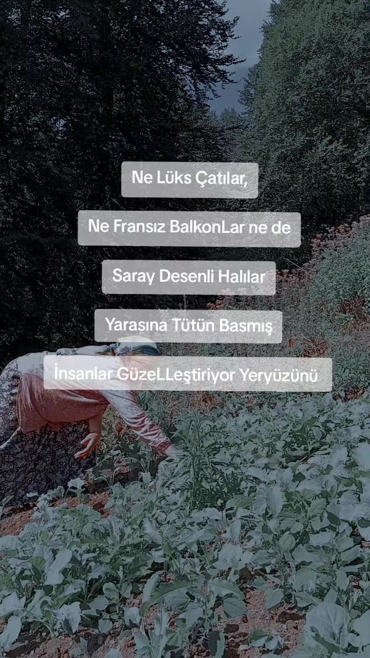@𝓜𝓮𝓵𝓪𝓱𝓪𝓽 🕊️ 𝓔𝓻𝓴𝓪𝓷
