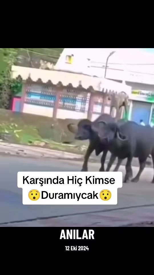 @Kömür Gözlüm