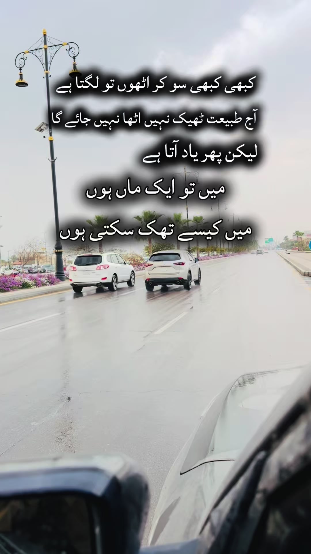 @zaksyed6