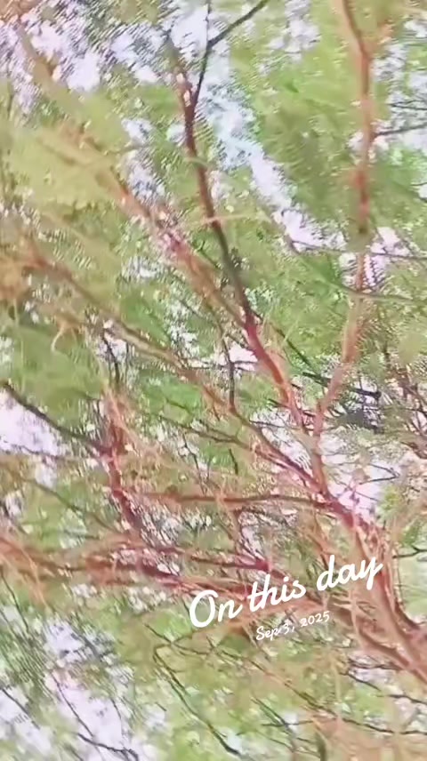 @புரட்சி தமிழன் சத்தியராஜ்