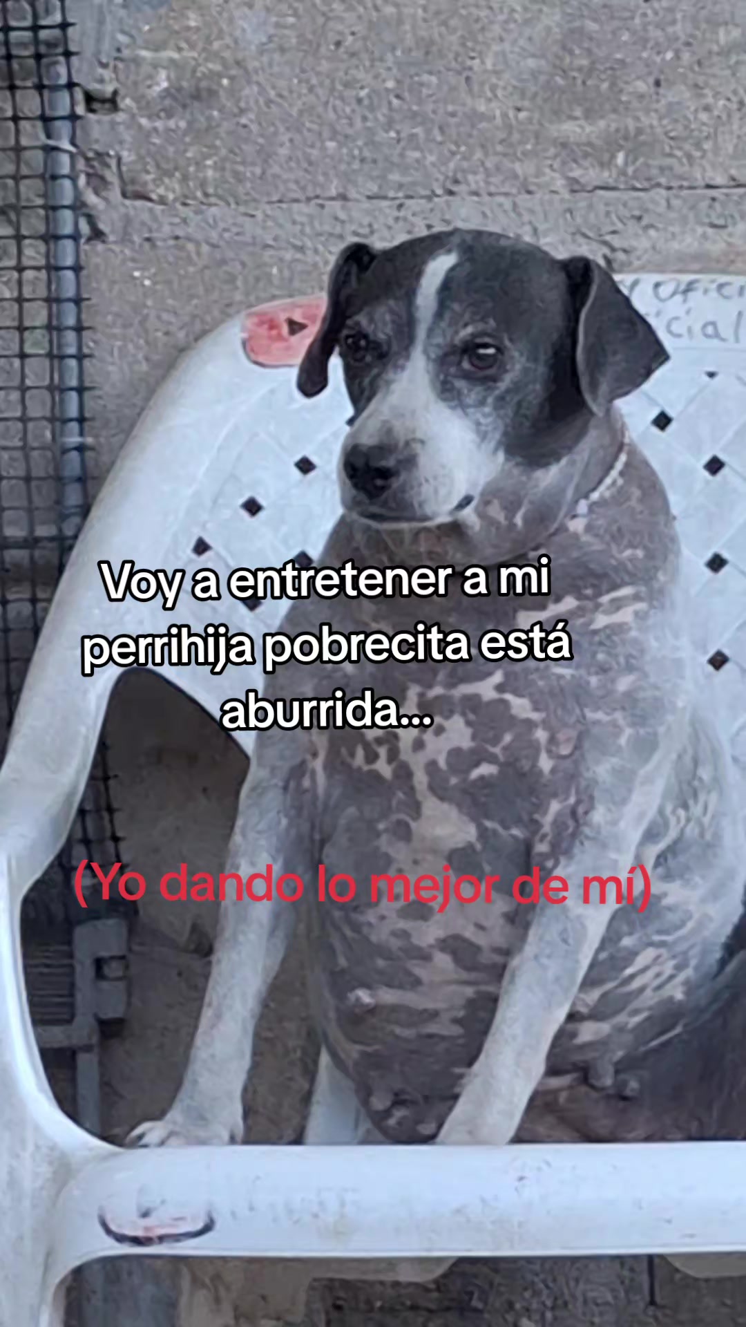 @MANCHAS 0714 OFICIAL