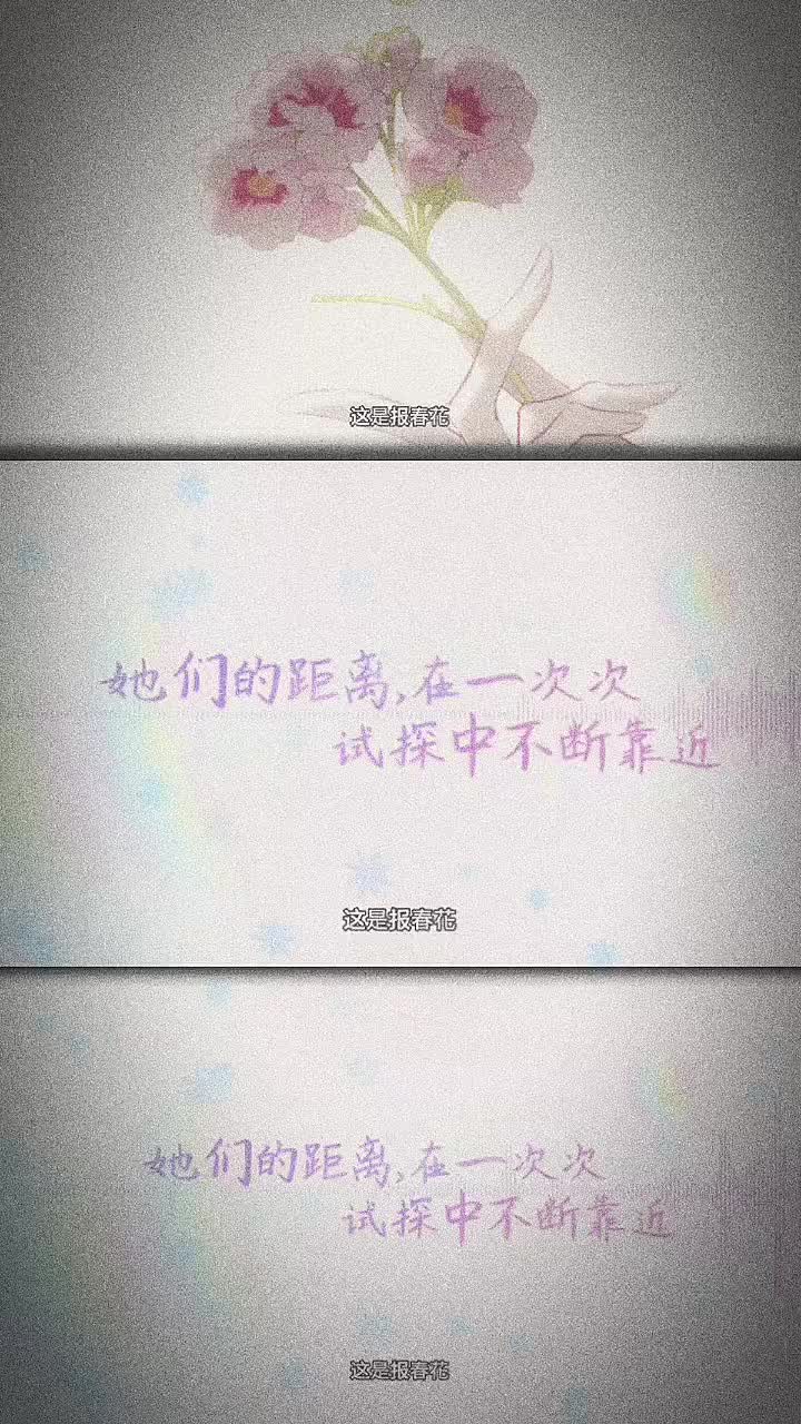 @*+:｡.｡ Zinder｡.｡:+*