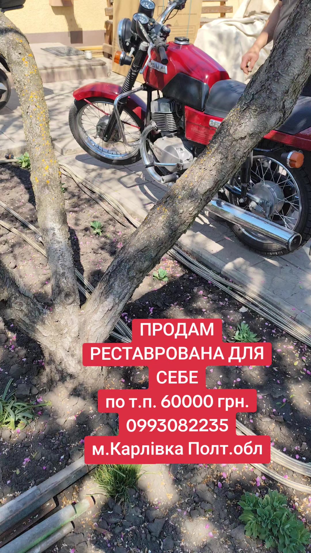 @В'ячеслав К87