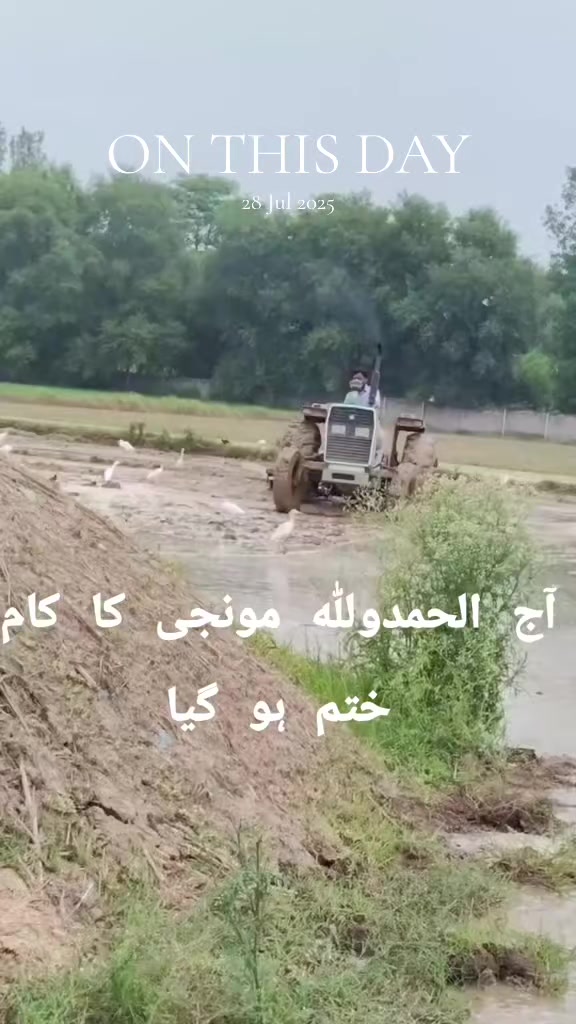 @Mian Atif charwah