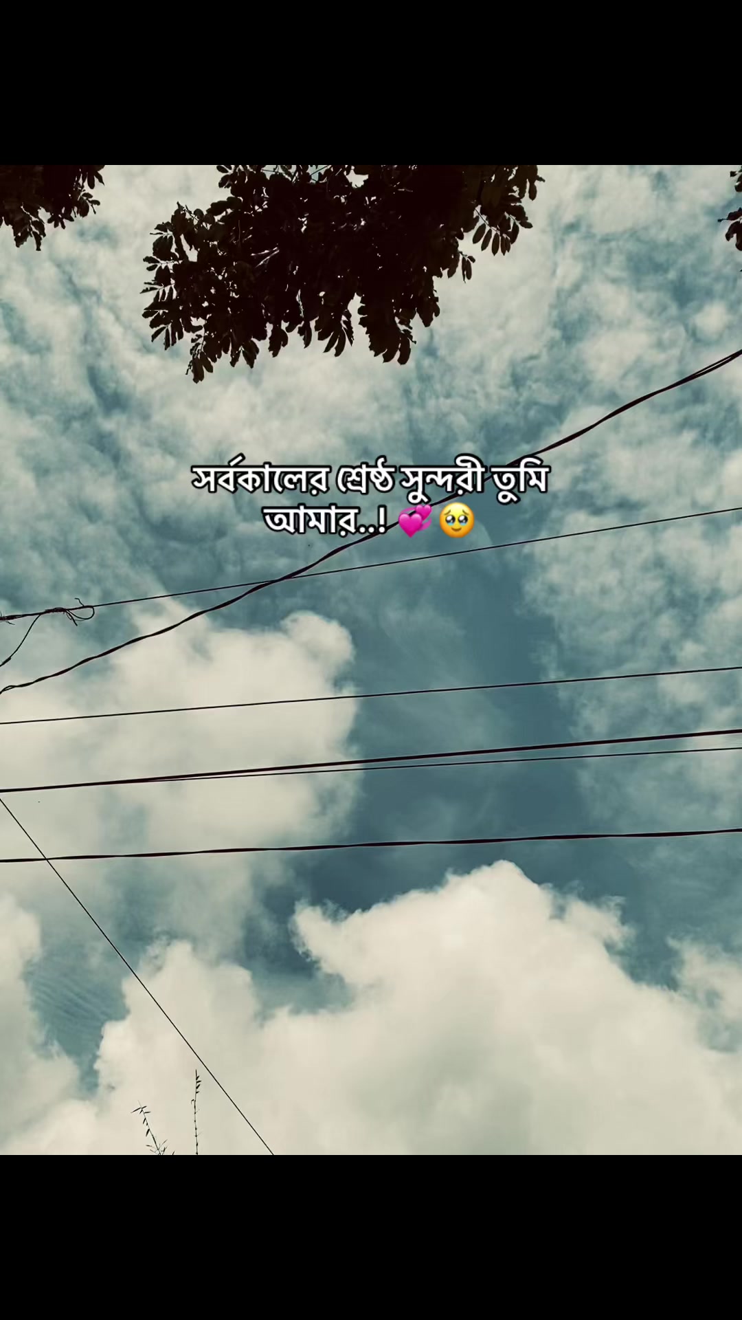 @️ ✭𓅃𝘼𝙡𝙞𝙛 𝙫𝙖𝙞