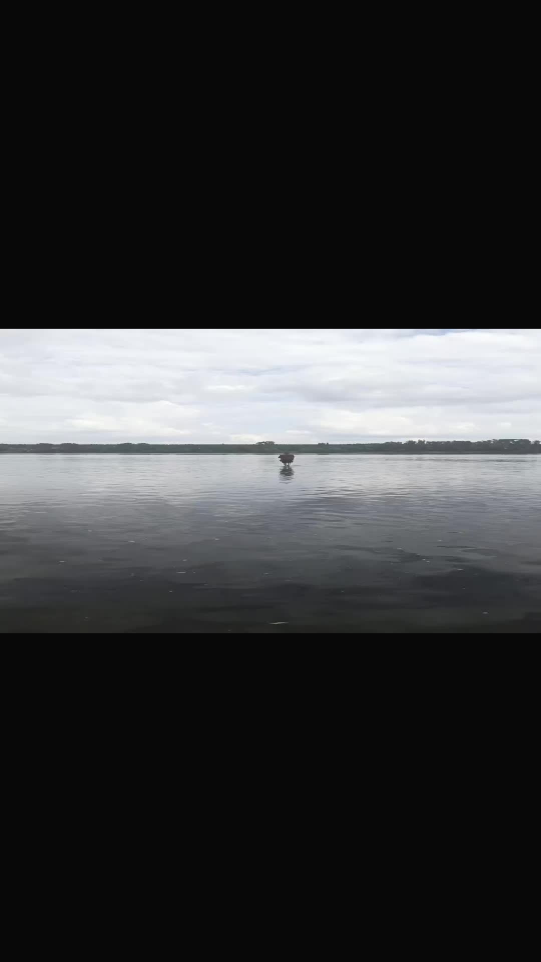 @𝑡𝑠𝑠𝑦𝑟𝑟𝑟𝑟𝑎