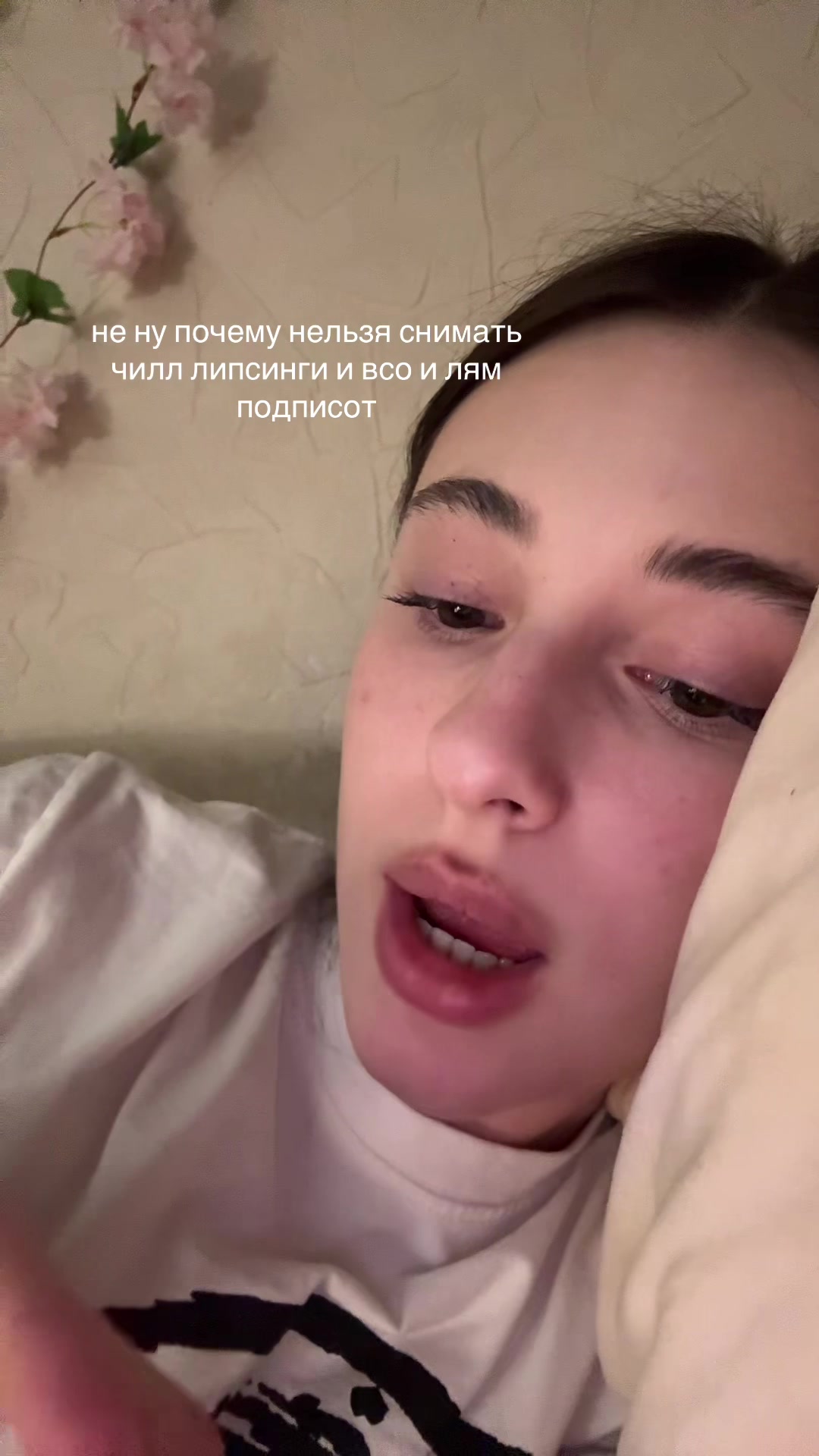 @тгк: дофи даша