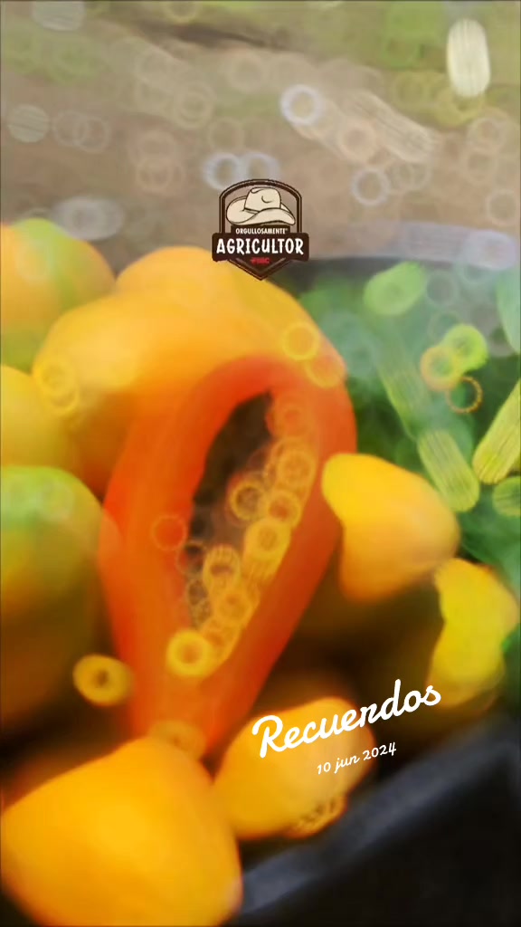 @🧑&zwj;🌾🤎🌱PAPA XEU🧑&zwj;🌾🤎🌱 C-4