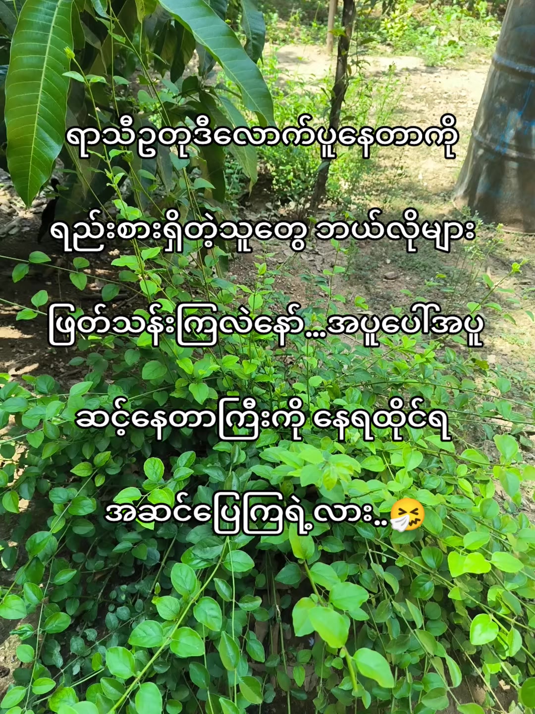 @🍃အမ်"Bi🍀