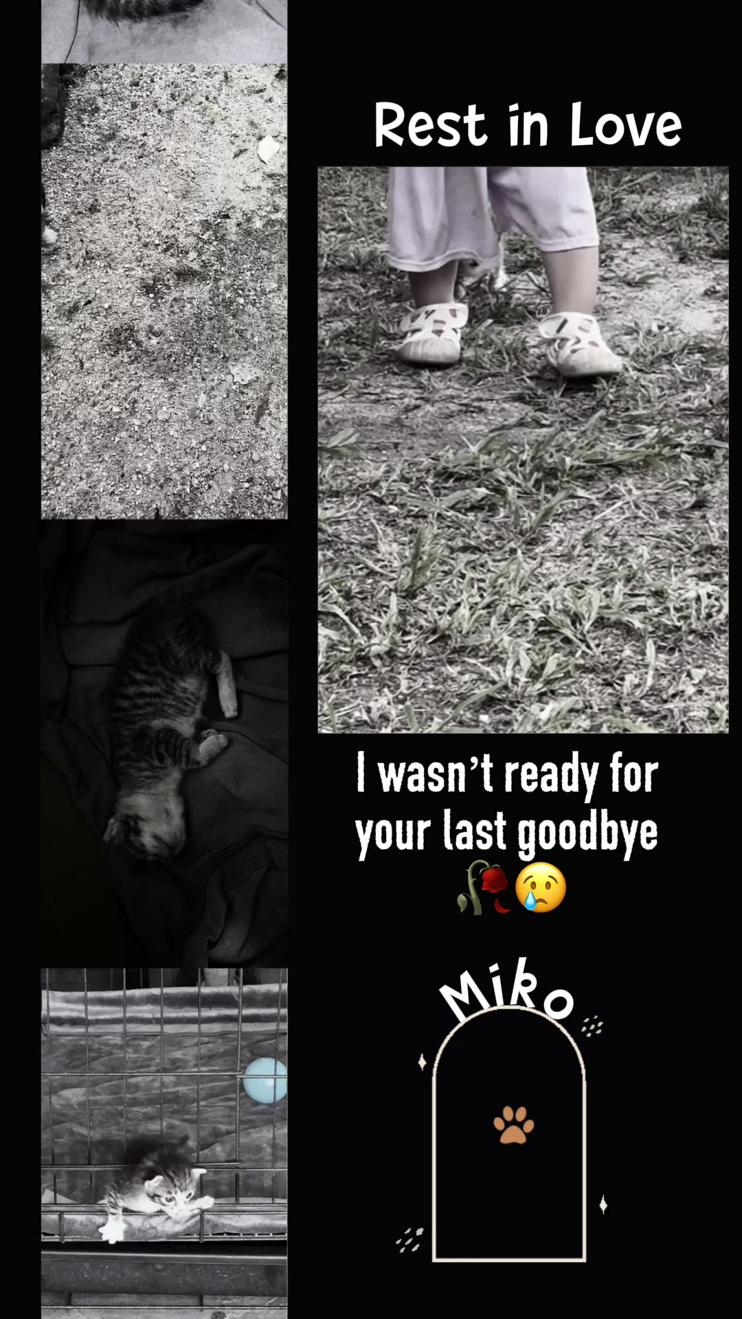 @๐๐๐๐๐ถโ๐๐๐