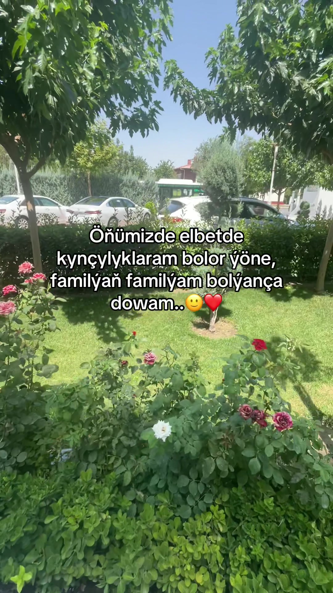 @Amankulyyev