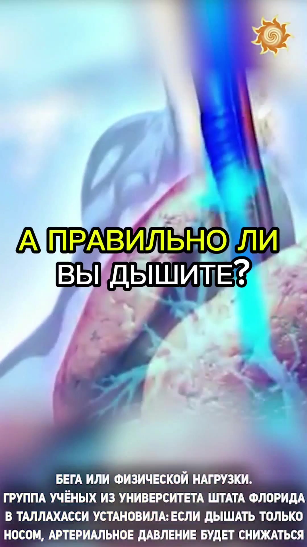 @Славмир