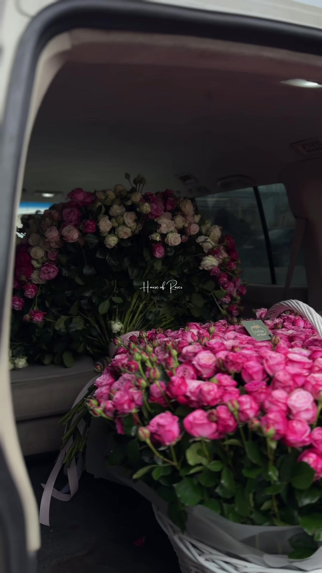 @Թարմ Վարդեր 🌹