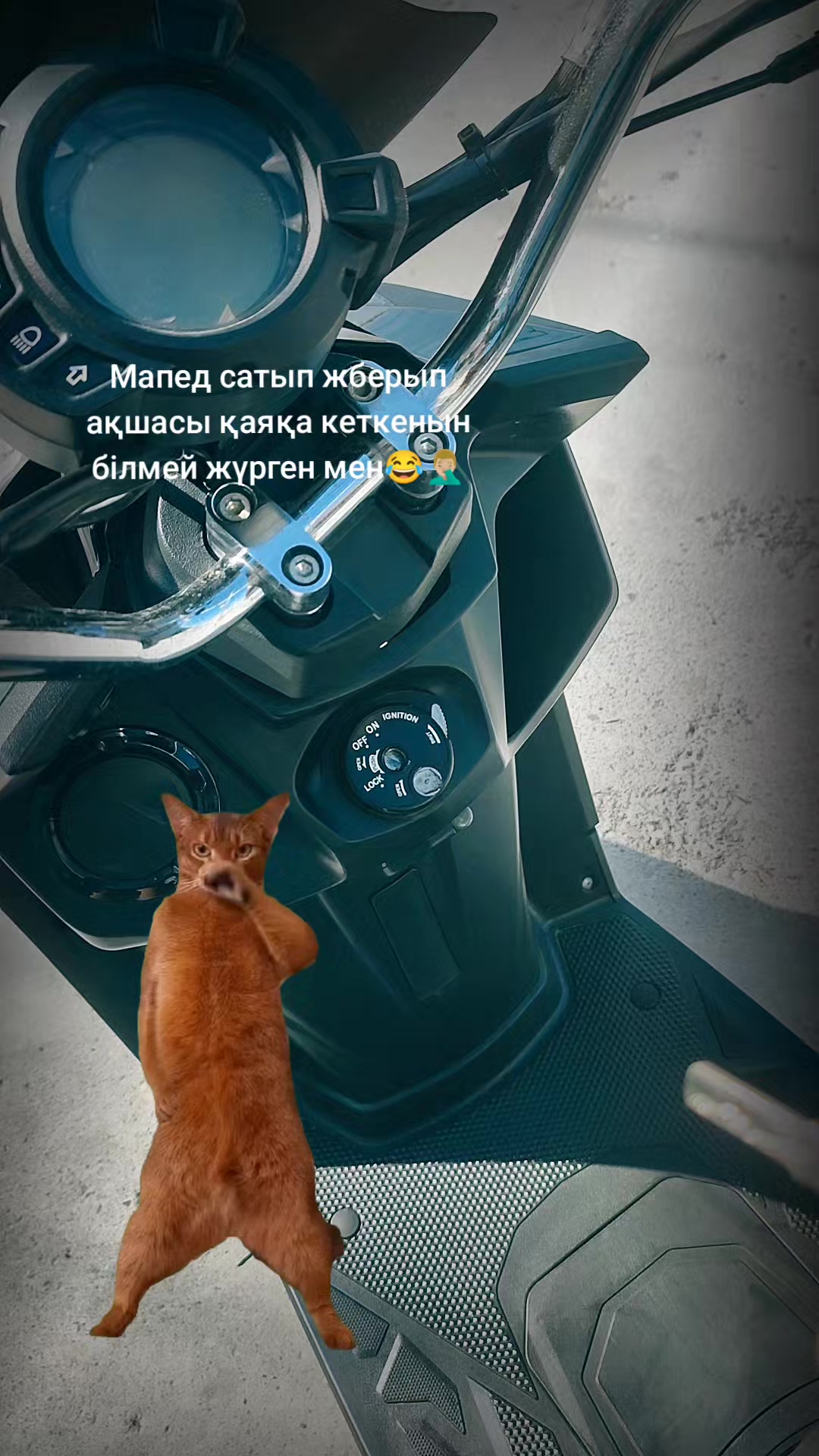 @Да да Ера я а не дядя