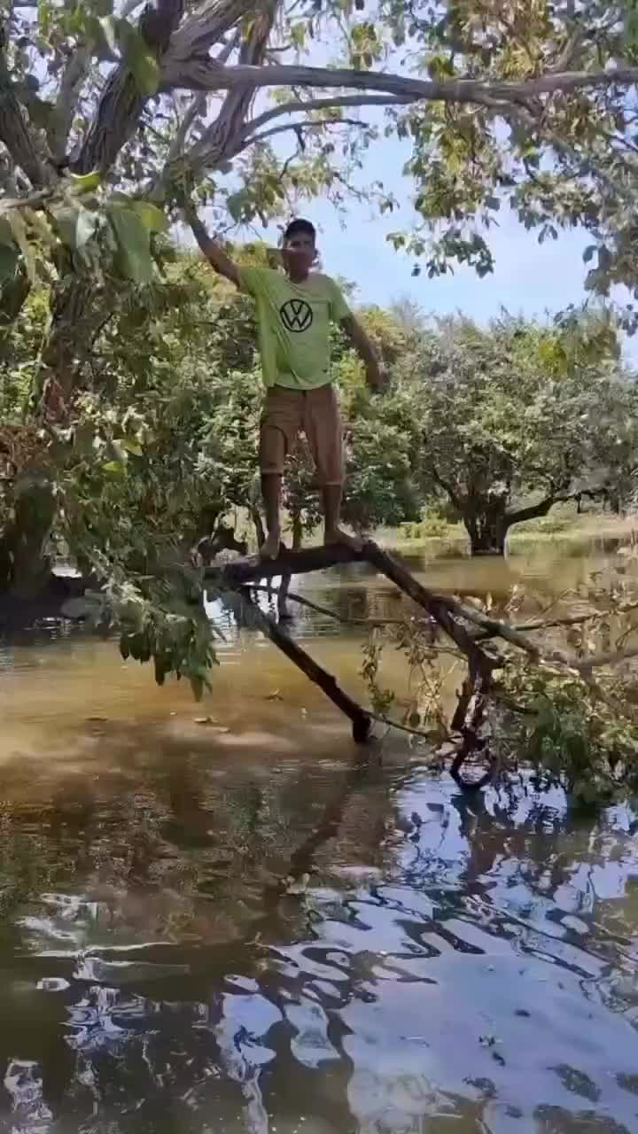 @Fr321