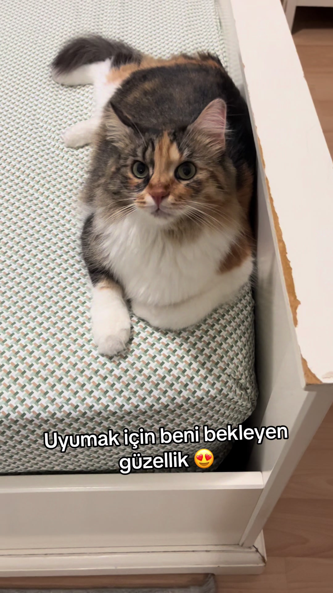 @konusankediminnos