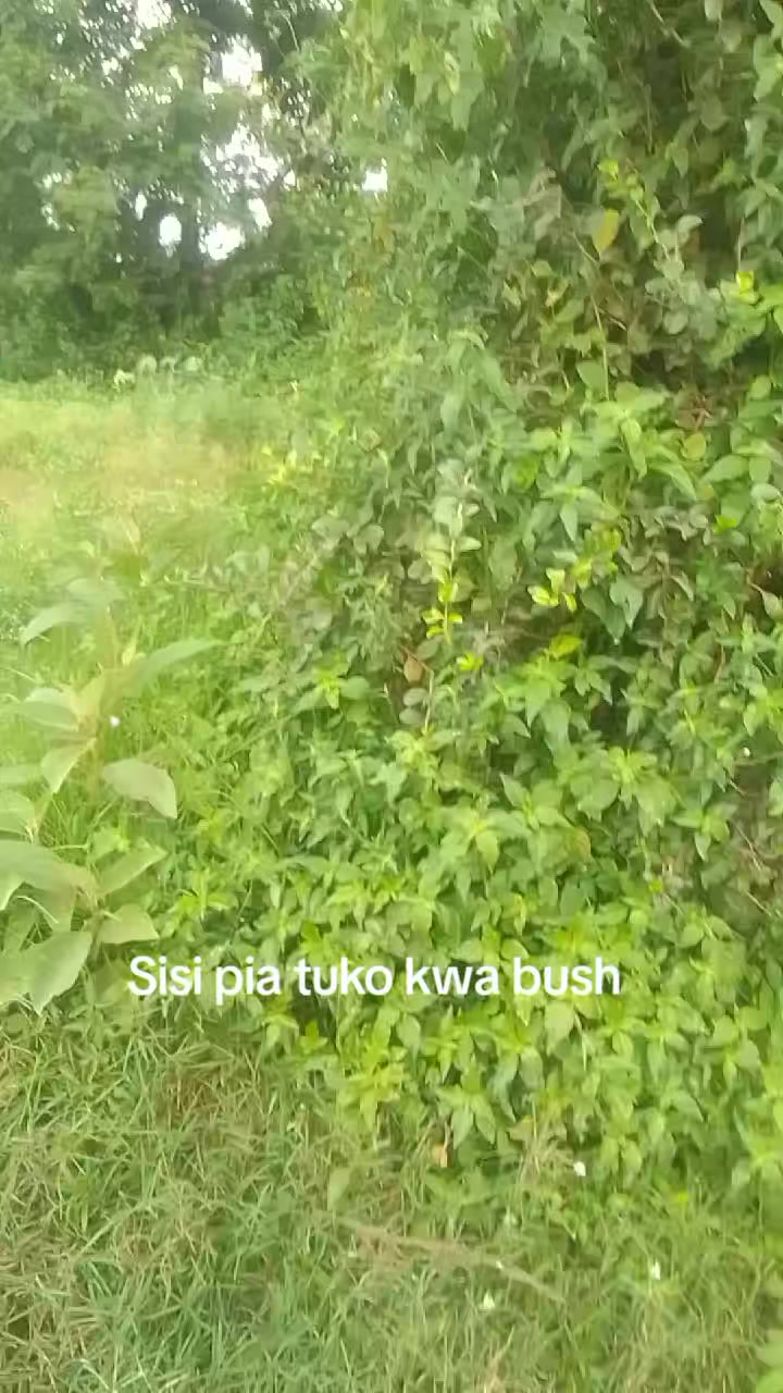 @Isaac Otieno odhiambo