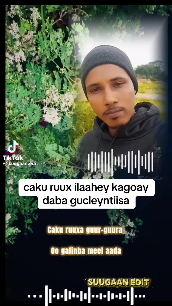 @queen Hana366