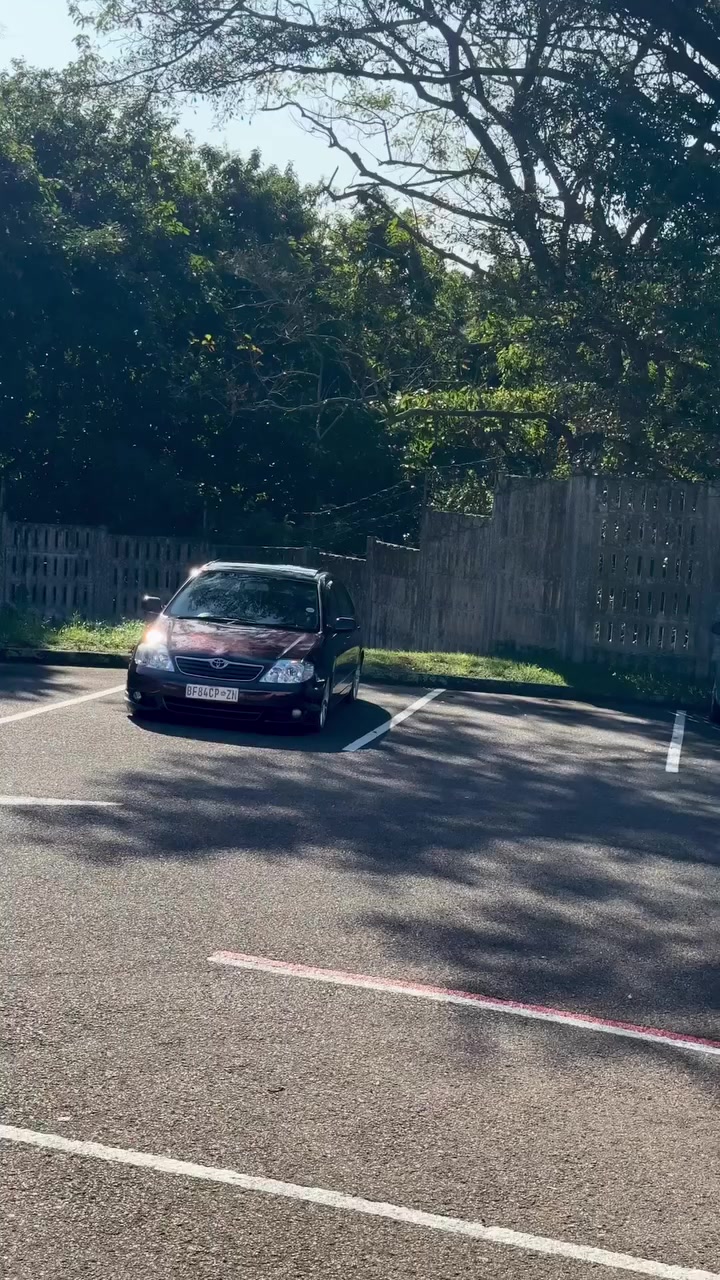 @Hammitown_stance_society