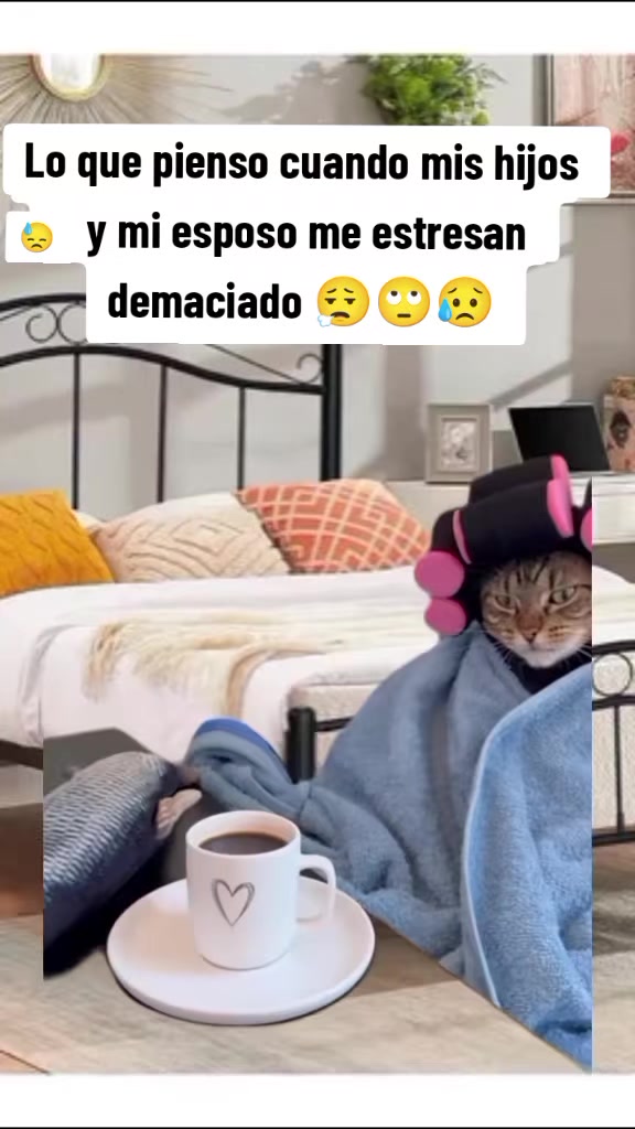 @memestristemariicruz🐈⬛ 🤣😔