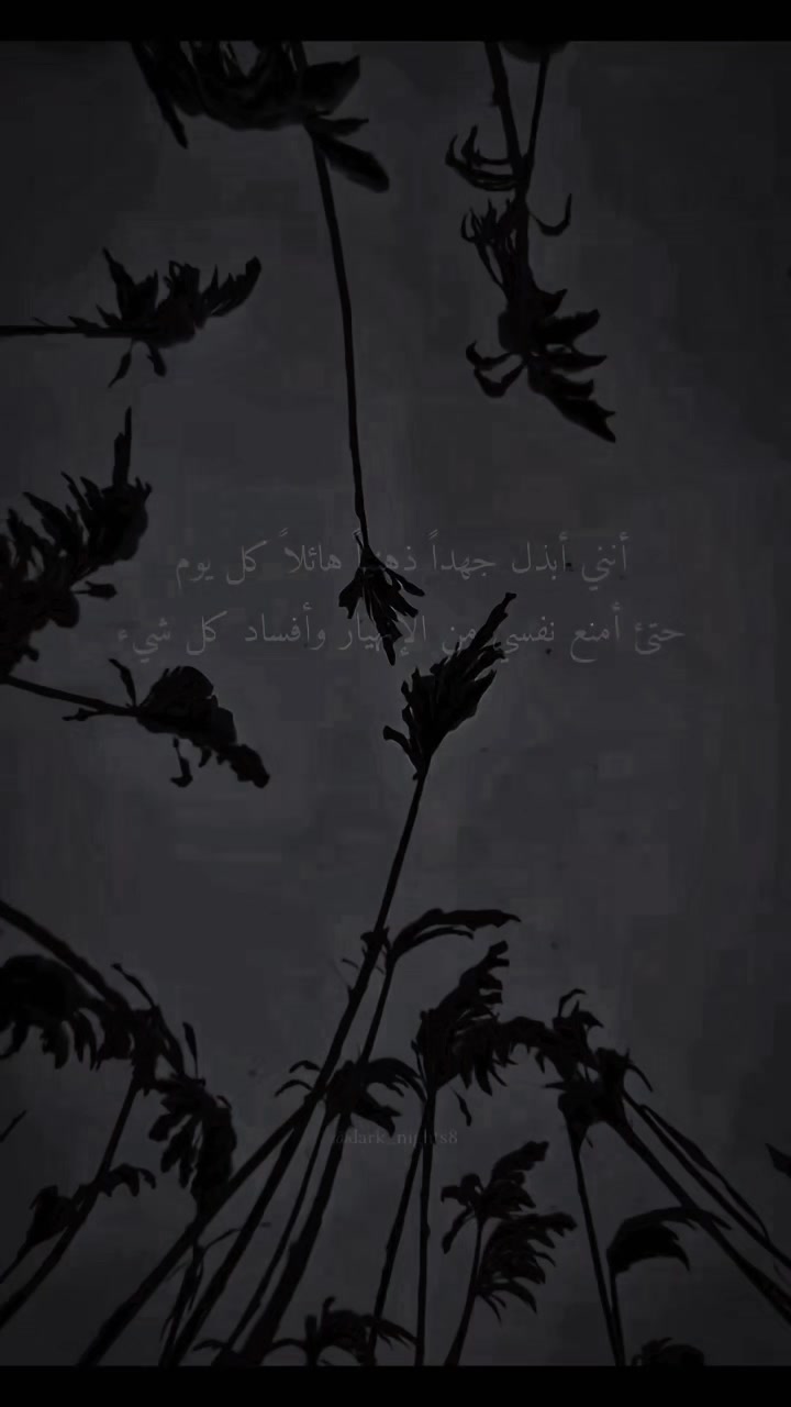 @Mohamed Marabou🧑&zwj;🔧🕵️