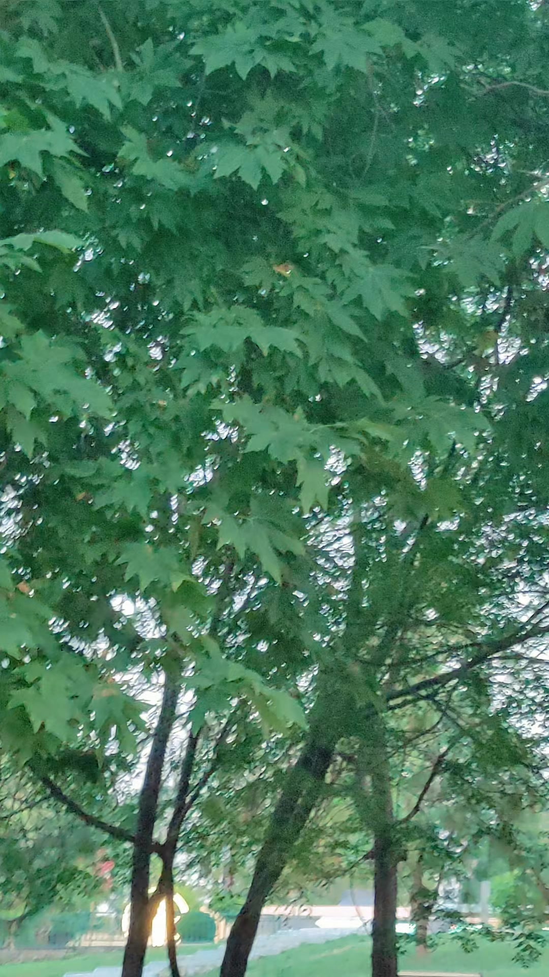 @S ᴀ ᴍ ᴀ ʀ࿐Sђ&alpha;ђ★043