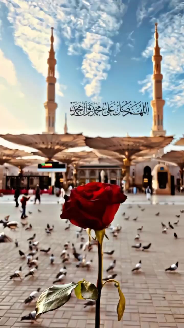 @Imran Jamil
