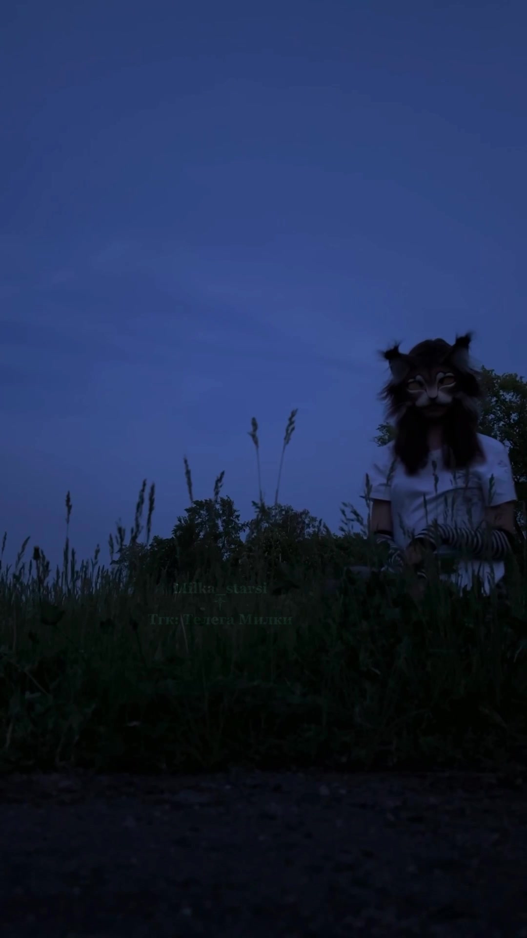 @🌱 𝓜𝓲𝓵𝓴𝓪_𝓢𝓽𝓪𝓻𝓼𝓲 ✰