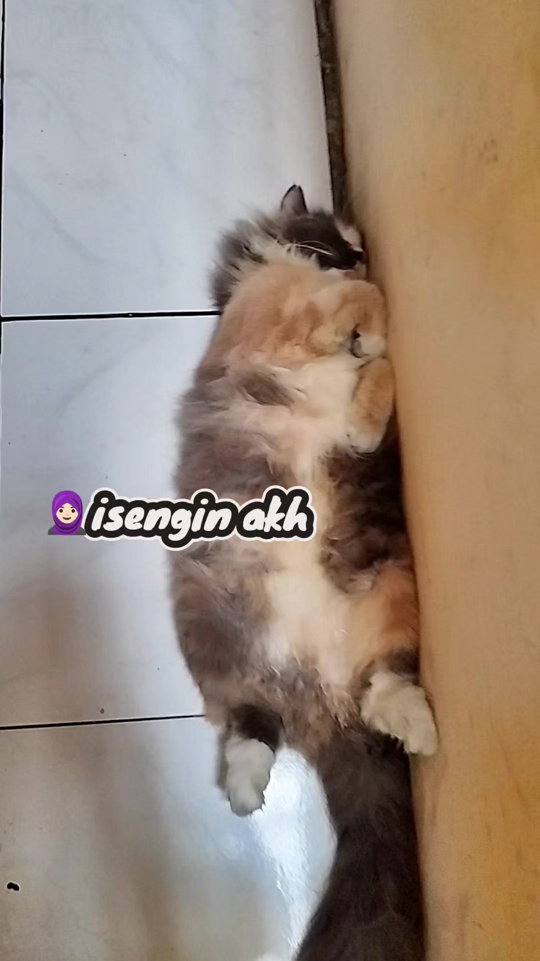 @Chiko Jelita