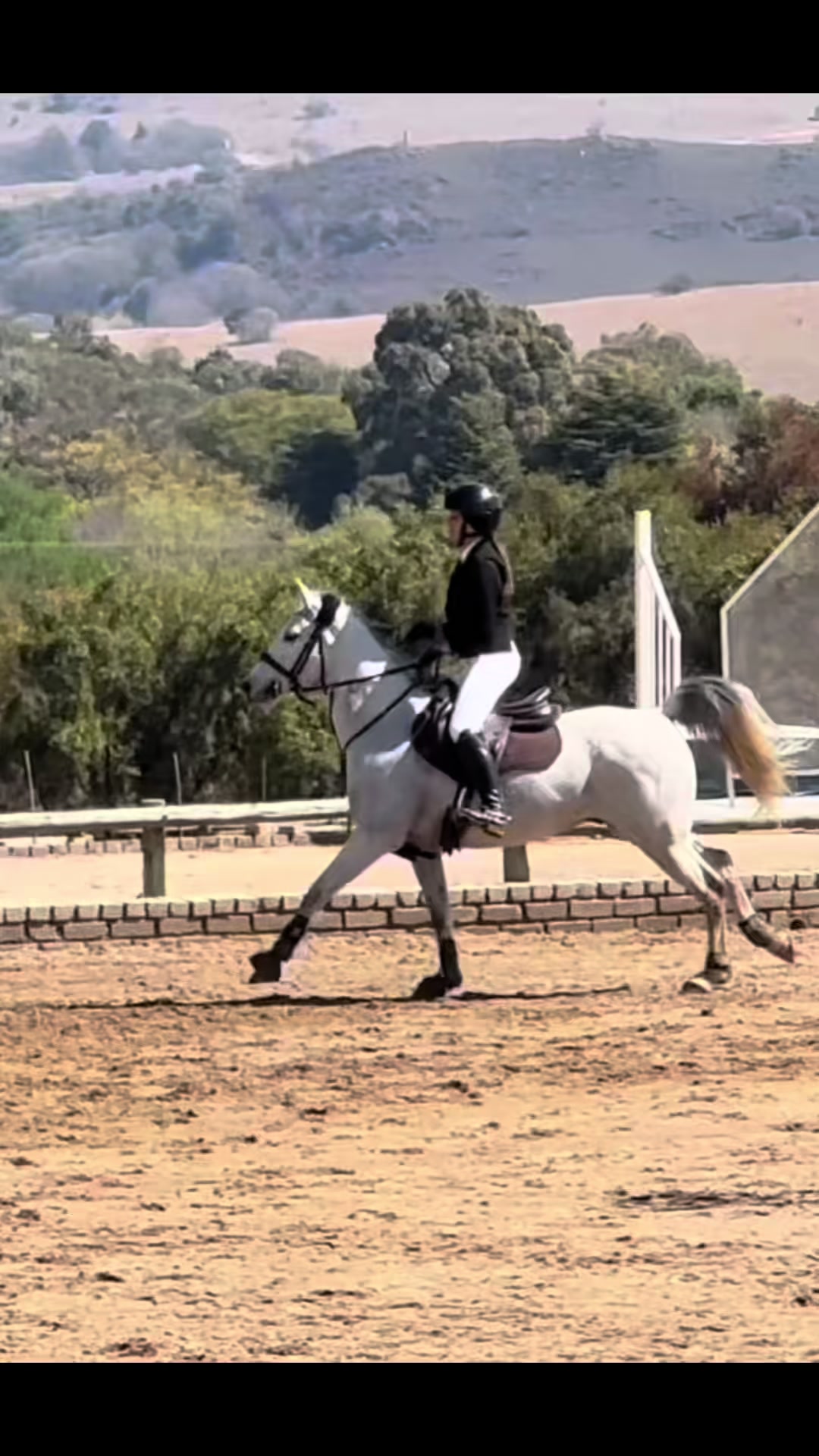 @Jay equestrian