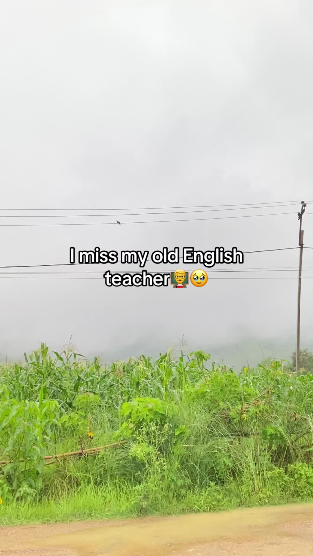 @๐ณโ๐ฝโ๐นโ ๐งโ๐ทโ๐ฆโ๐ณโ๐ฉ