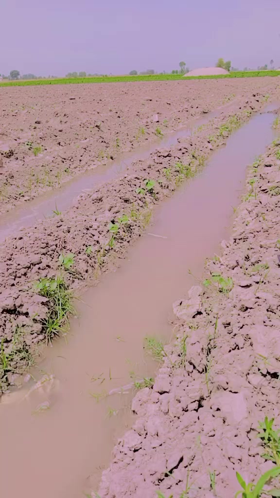 @Khan saddique Baloch