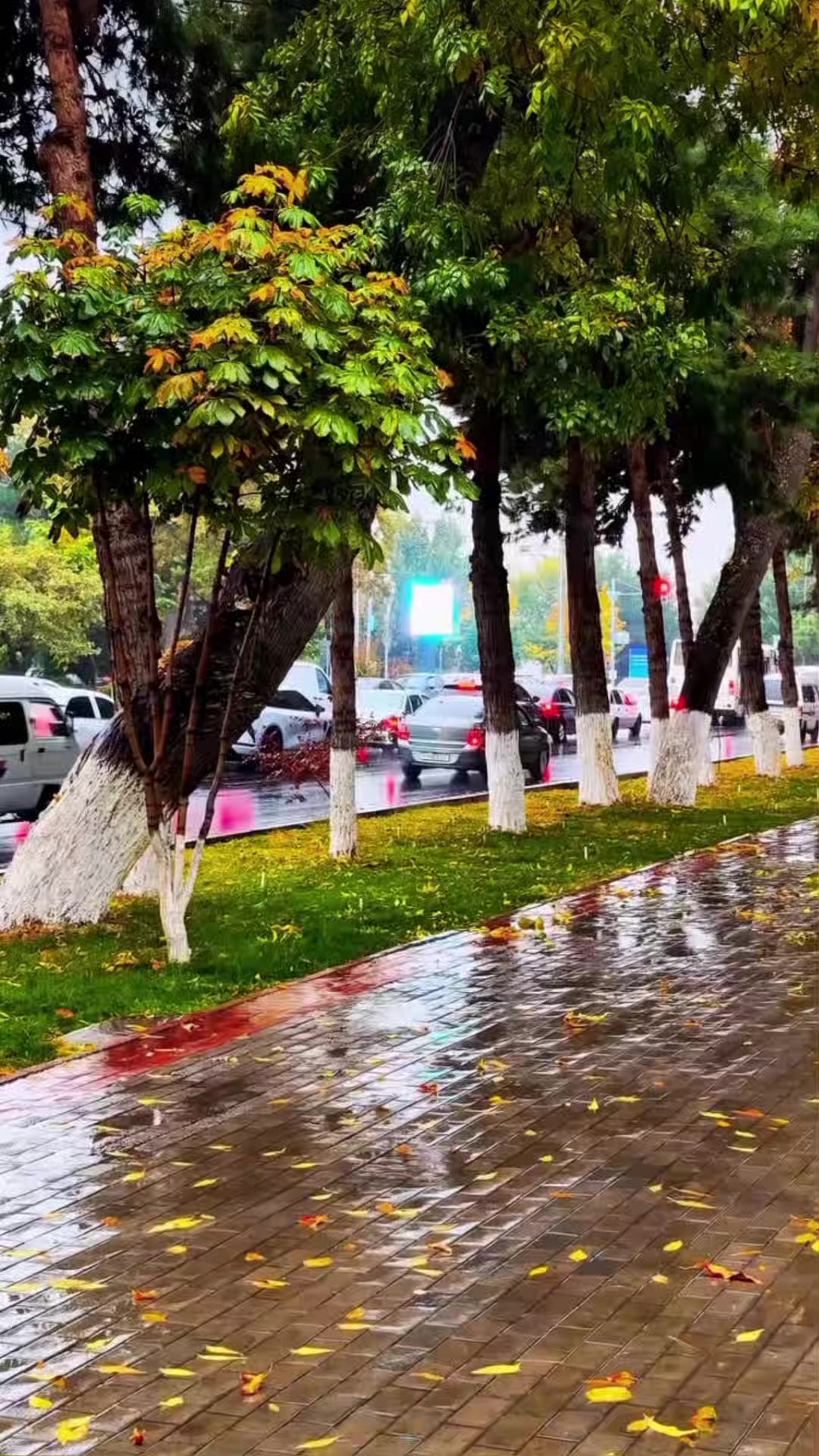 @Айнура
