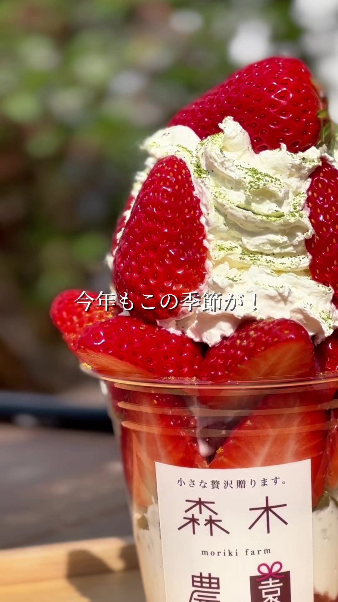 @森木農園
