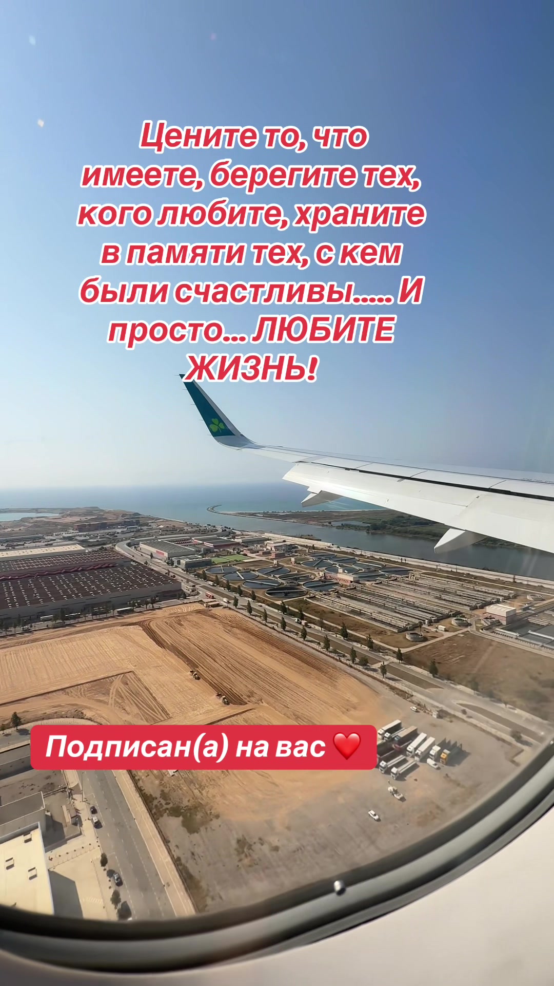 @👑 Fedor_Fedorovich 👑