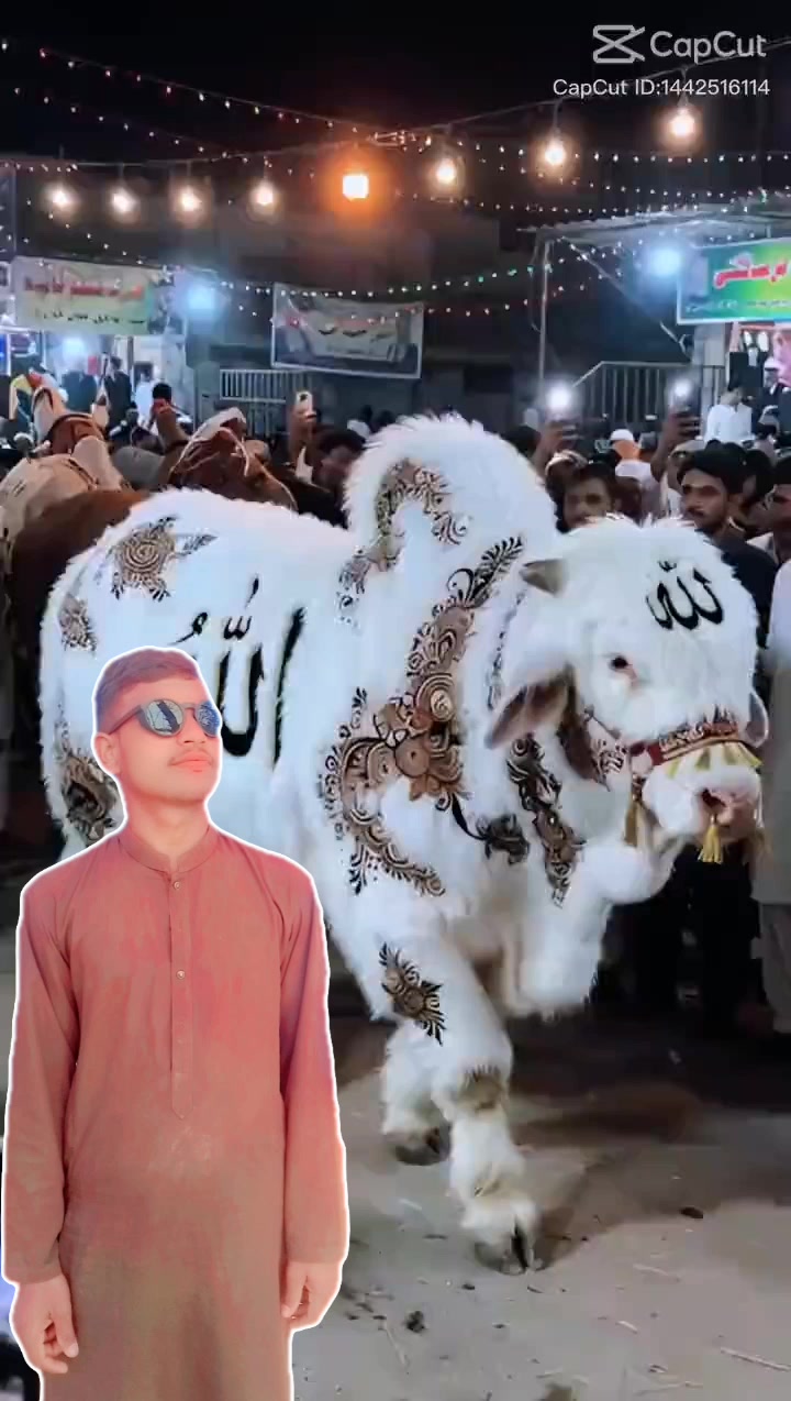 @sajjad G