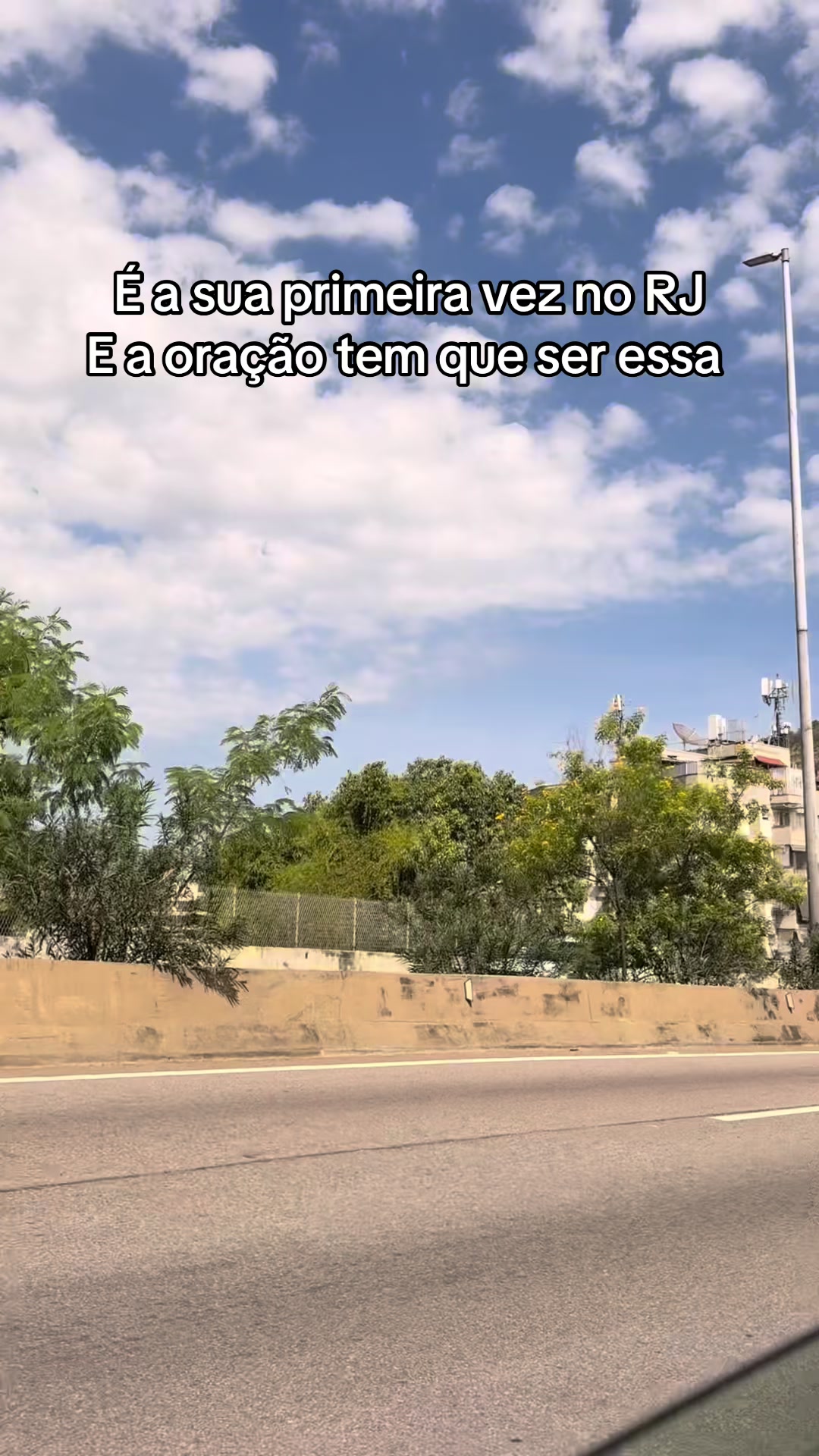 @Vinicius Borges