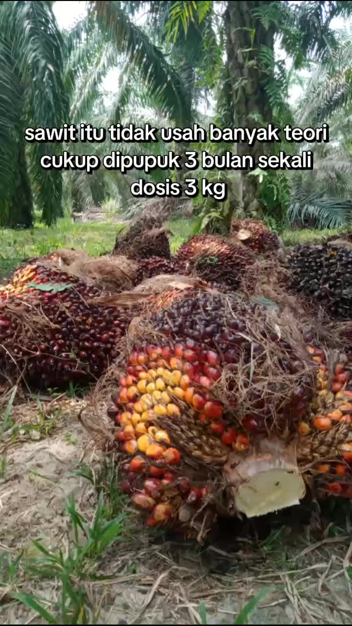 @Dedie 69