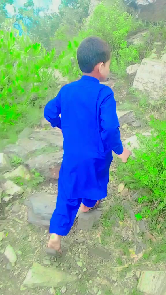 @shahzeb khan