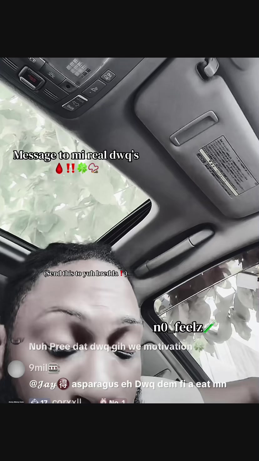 @n0_feelz🧪