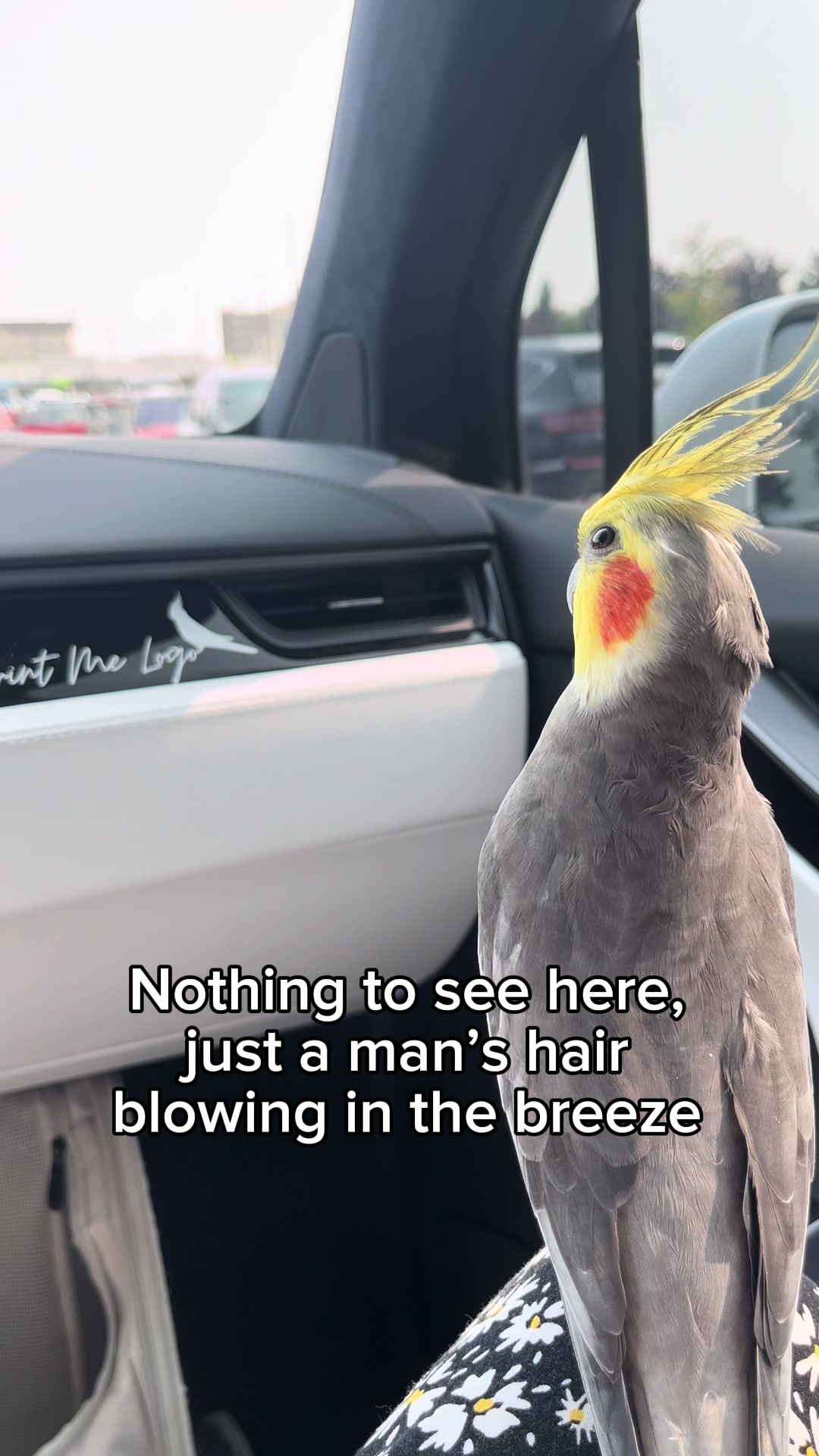 @Emery The Branch Manager